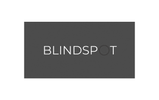 Blindspot for Business