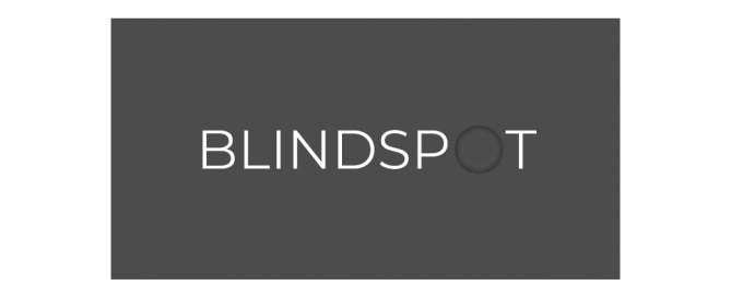 Blindspot for Business