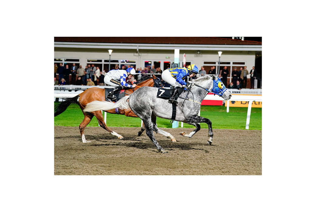 Equestrian R Infinity Limited